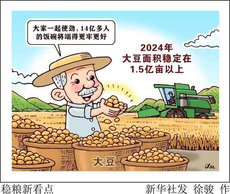 美狮会官网中邦稳粮新看点！“金豆豆”15亿亩以上尊龙凯时人生就是博z6com